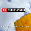 SENSEI