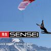 SENSEI_2
