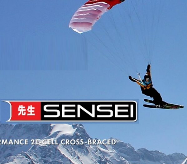 SENSEI_2