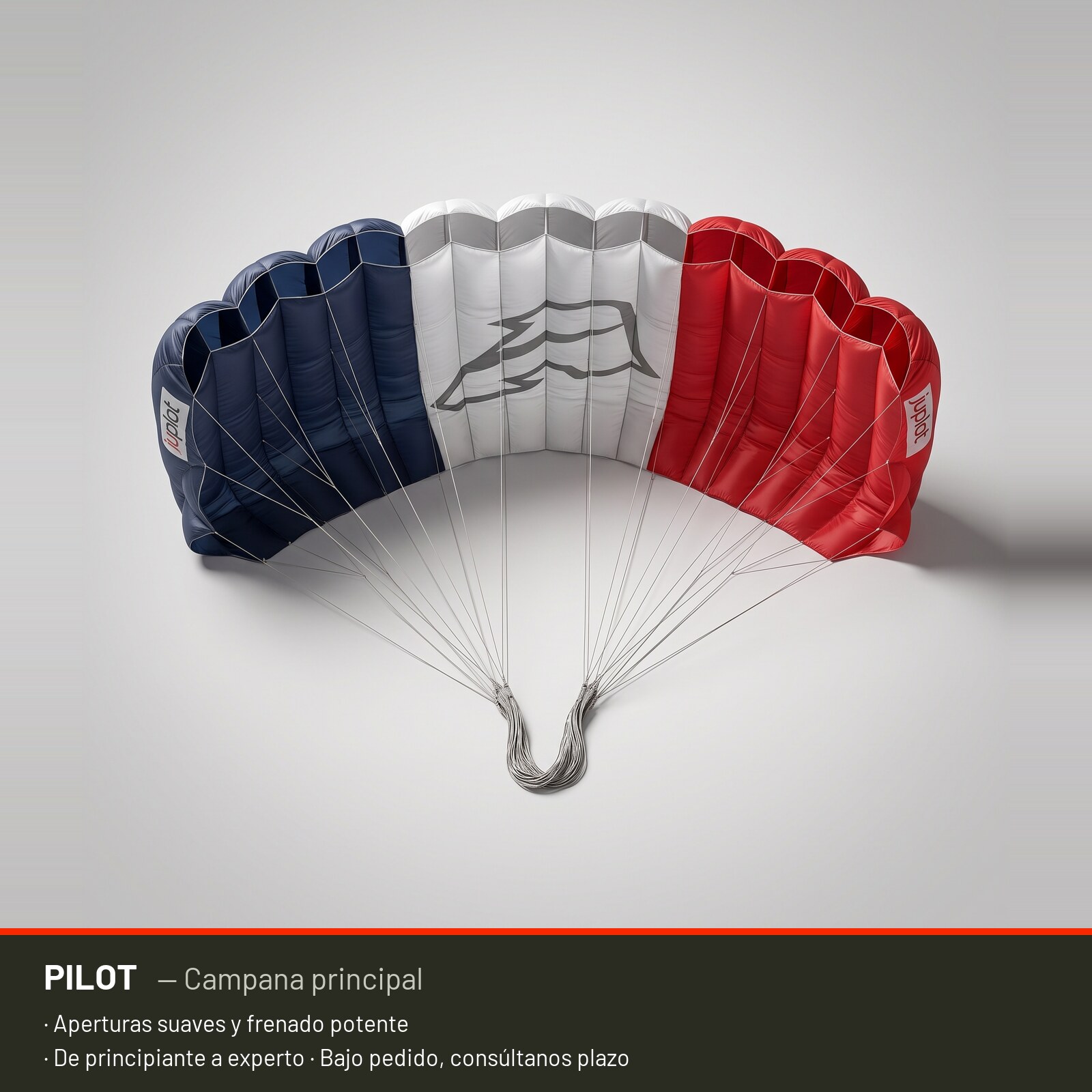 Campana principal Pilot de Aerodyne
